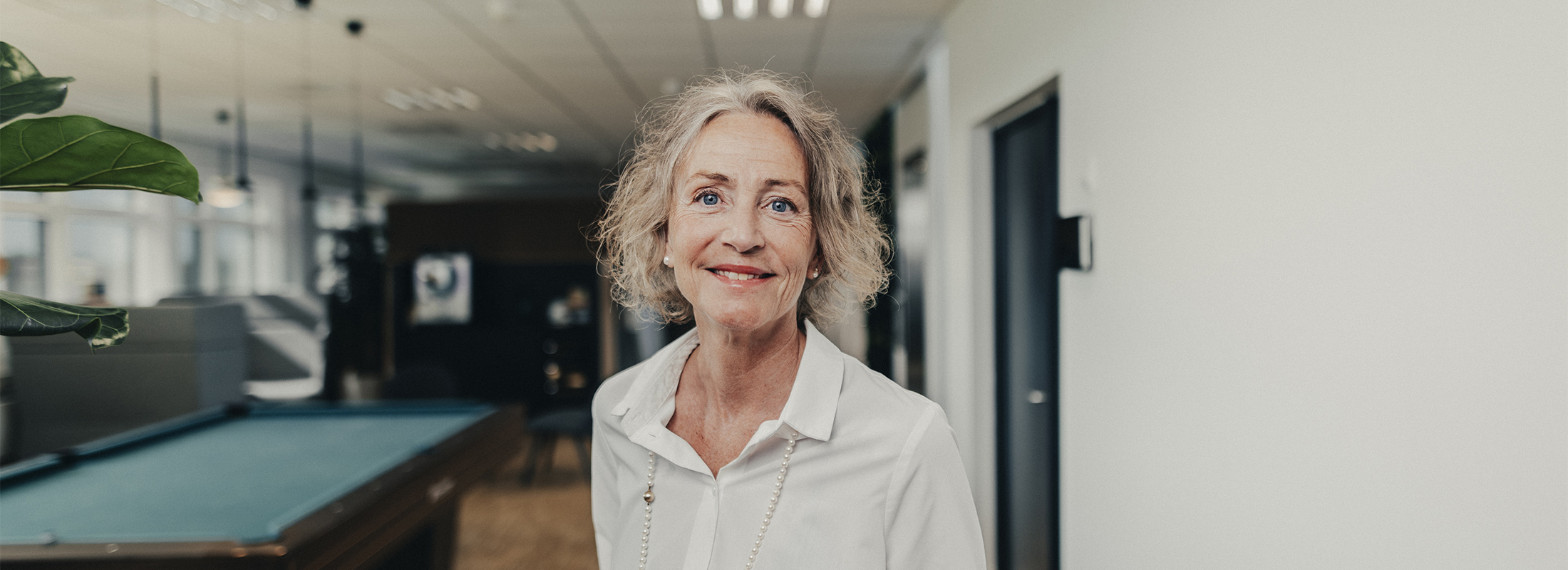 Jeg gør IT <br>
mere ligetil.
